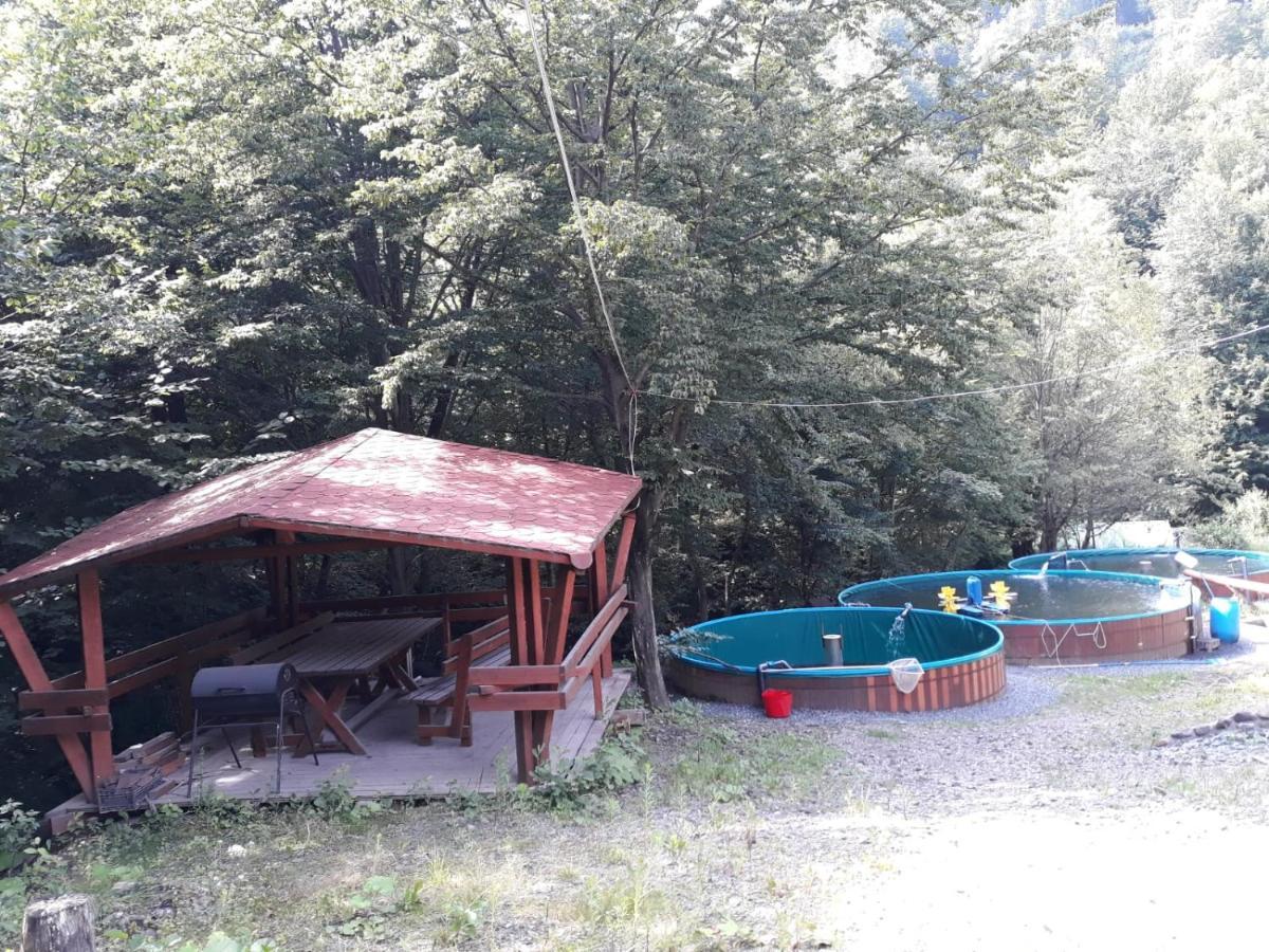 Cabana Alpha Baia Mare Exterior foto