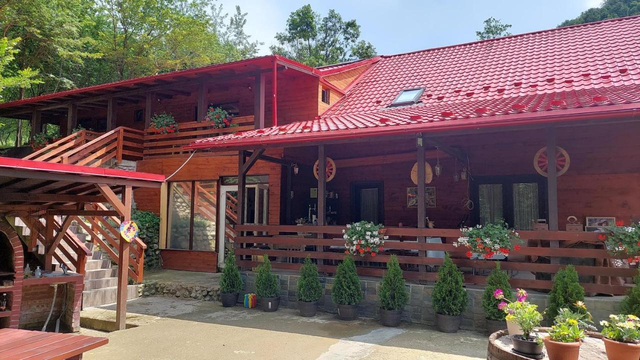 Cabana Alpha Baia Mare Exterior foto